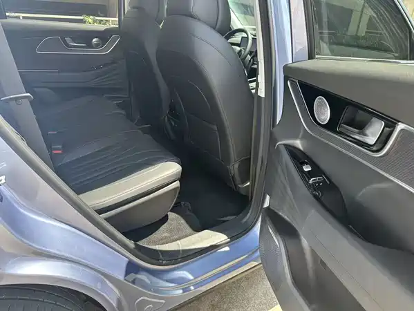 Chery Fengyun T9 2024