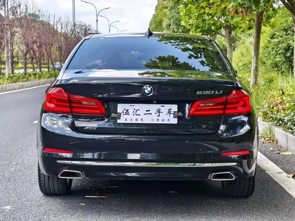 BMW 5 Series 2018 — фото 11