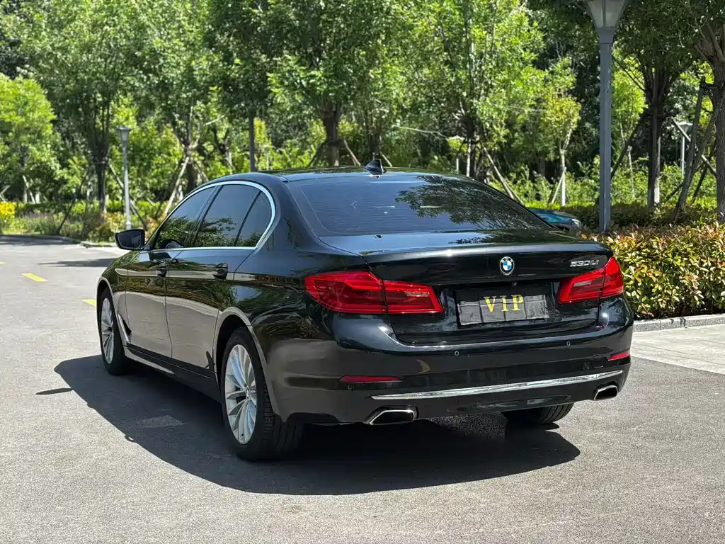 BMW 5 Series 2020 — фото 9