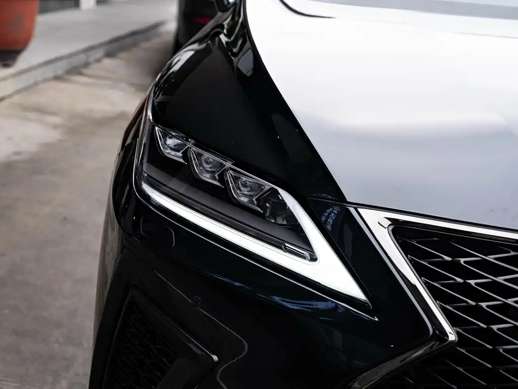 Lexus RX 2020 — фото 6
