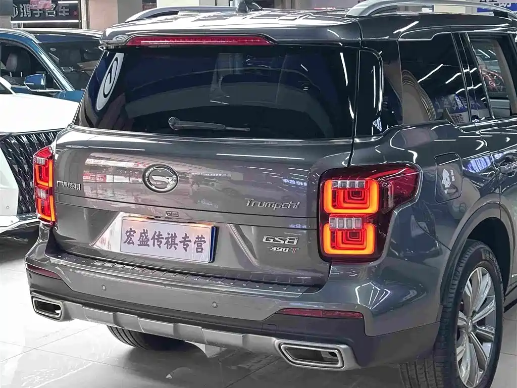 GAC Trumpchi GS8 2021 — фото 9