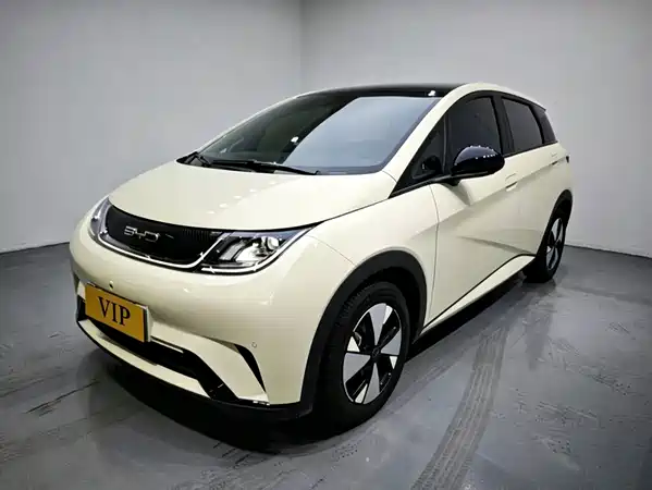 BYD Dolphin 2024