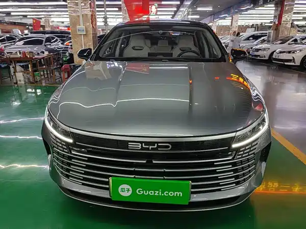 BYD Destroyer 05 2024