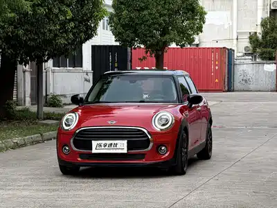 MINI MINI 2020