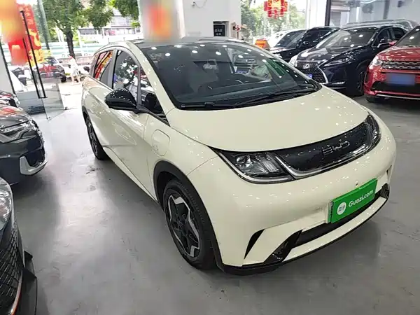 BYD Dolphin 2022