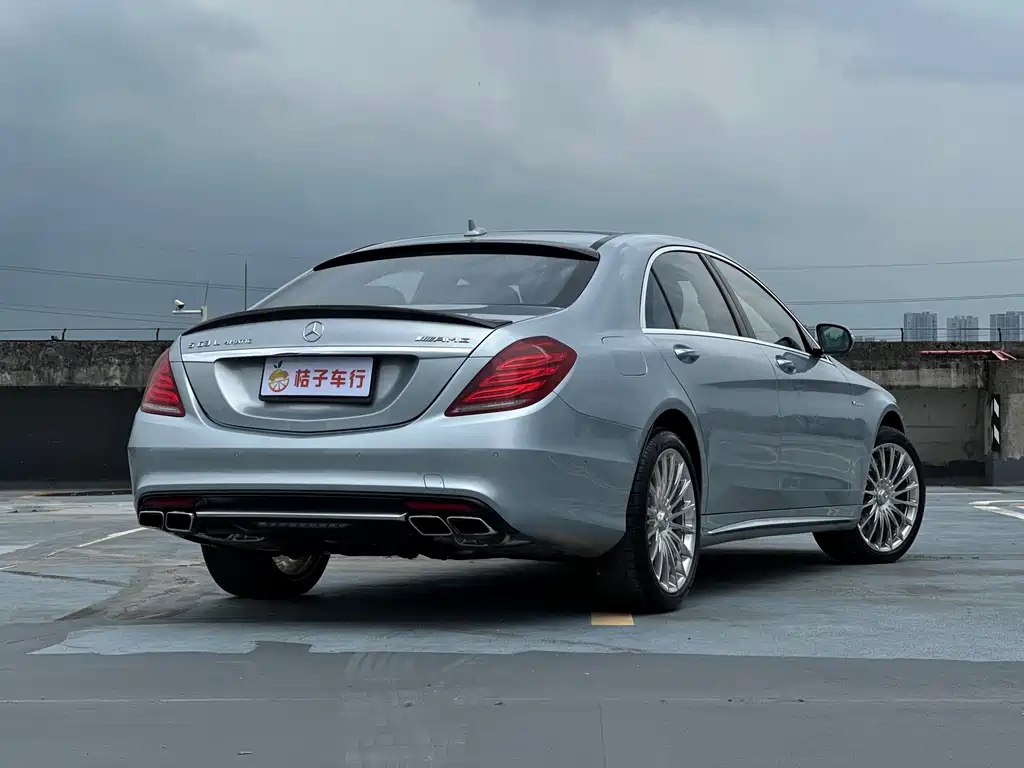 Mercedes-Benz S-Class AMG 2014 — фото 16