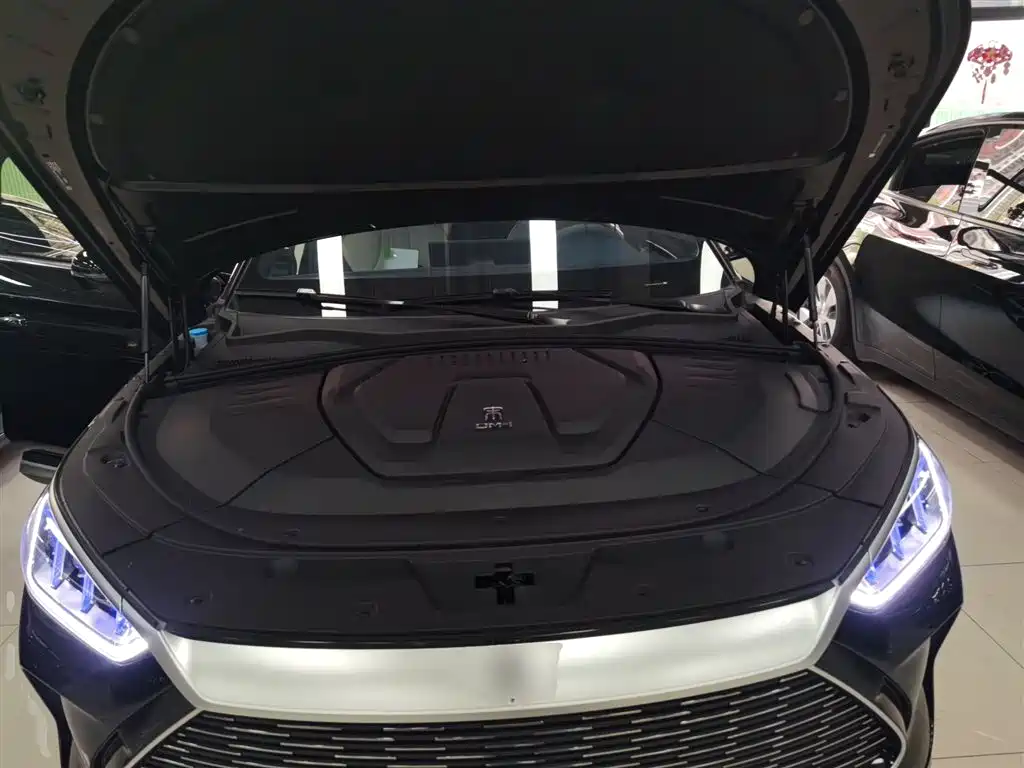 BYD PLUS New Energy 2023 — фото 19