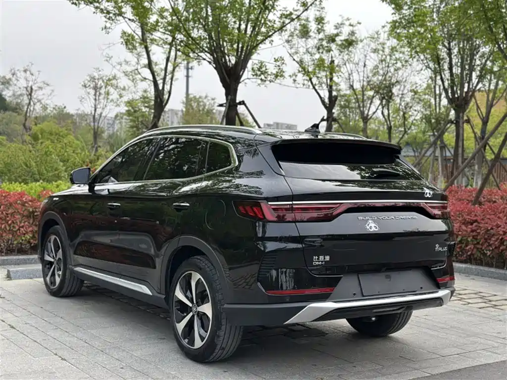 BYD PLUS New Energy 2023 — фото 10