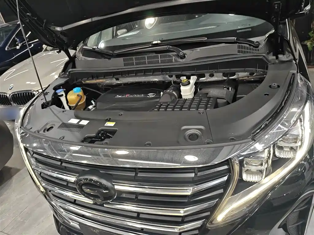GAC Motor Trumpchi M8 2021 — фото 20