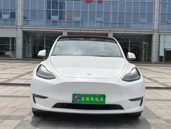 Tesla Model Y 2021
