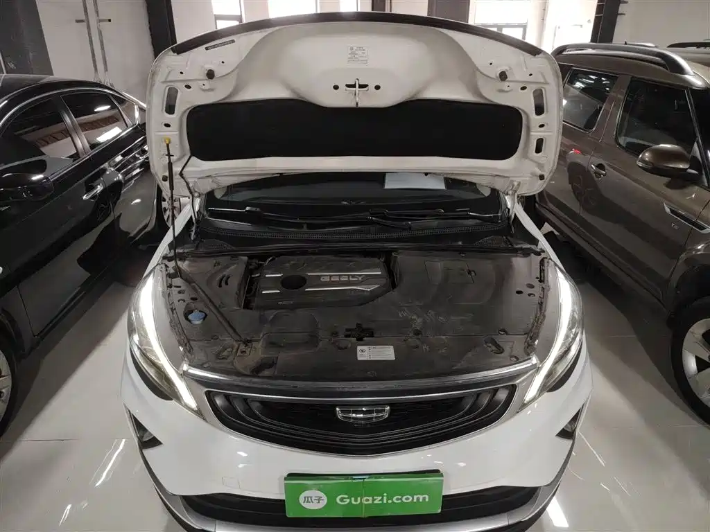 Geely Emgrand GS 2020 — фото 20