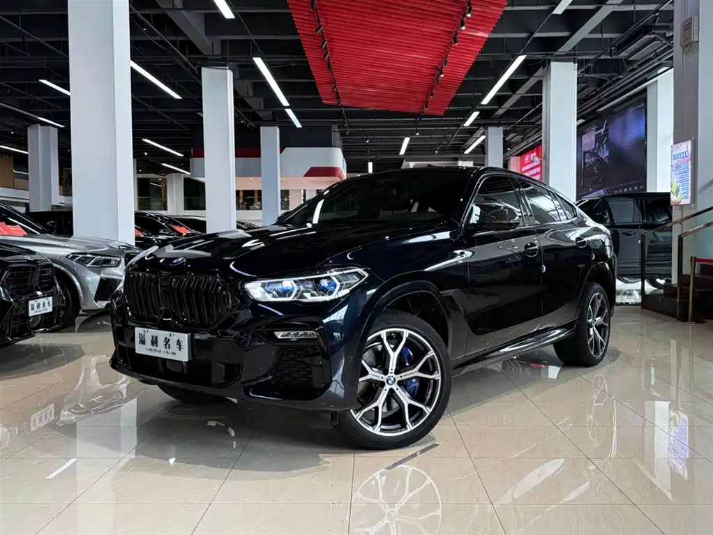 BMW X6 2021