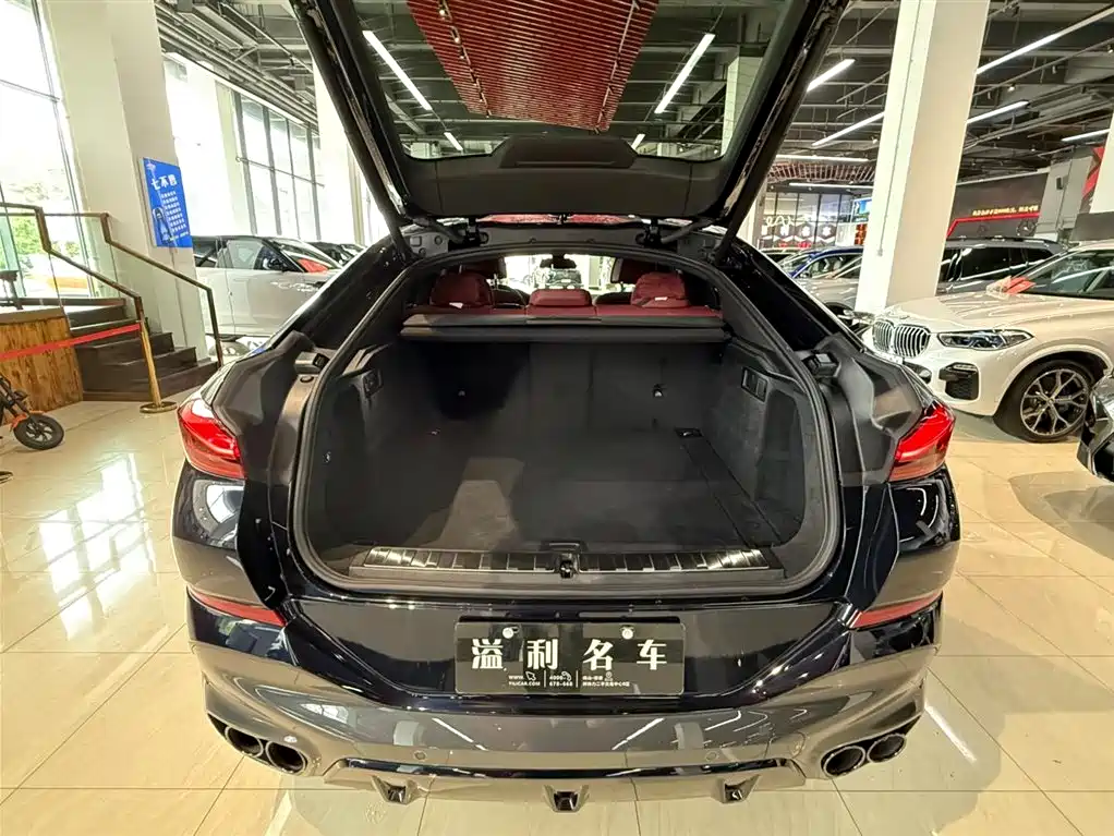 BMW X6 2021