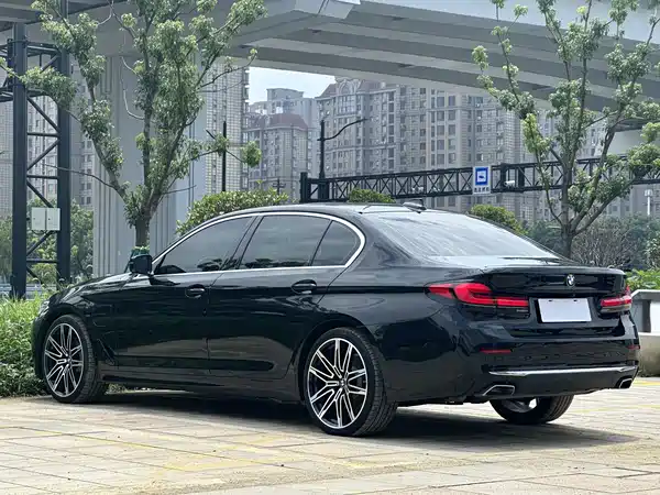 BMW 5 Series New Energy 2020
