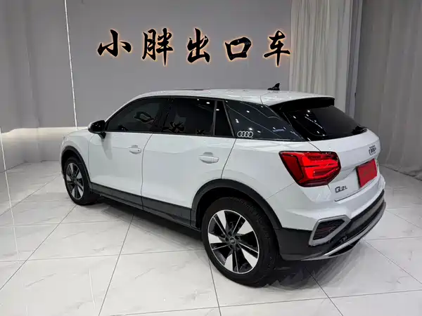 Audi Q2L 2022