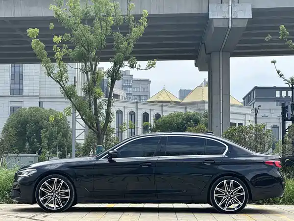 BMW 5 Series New Energy 2020