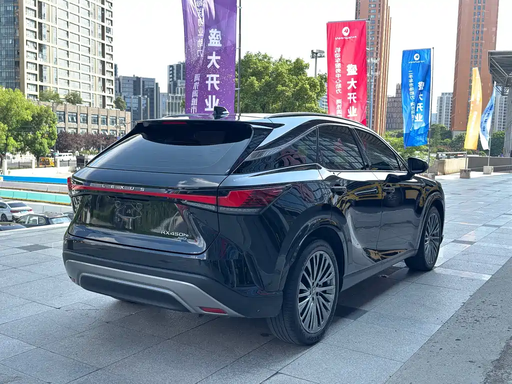 Lexus RX New Energy 2024 — фото 11