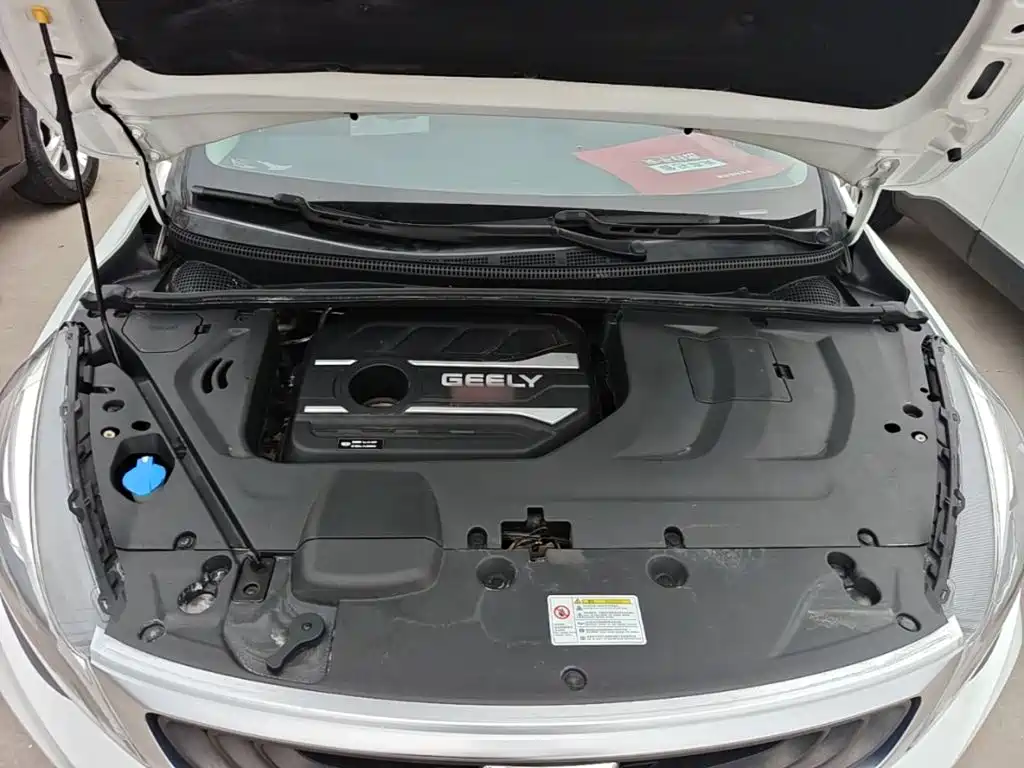 Geely Emgrand GS 2020 — фото 20