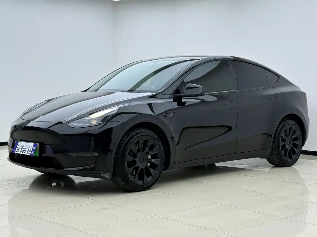 Tesla Model Y 2021