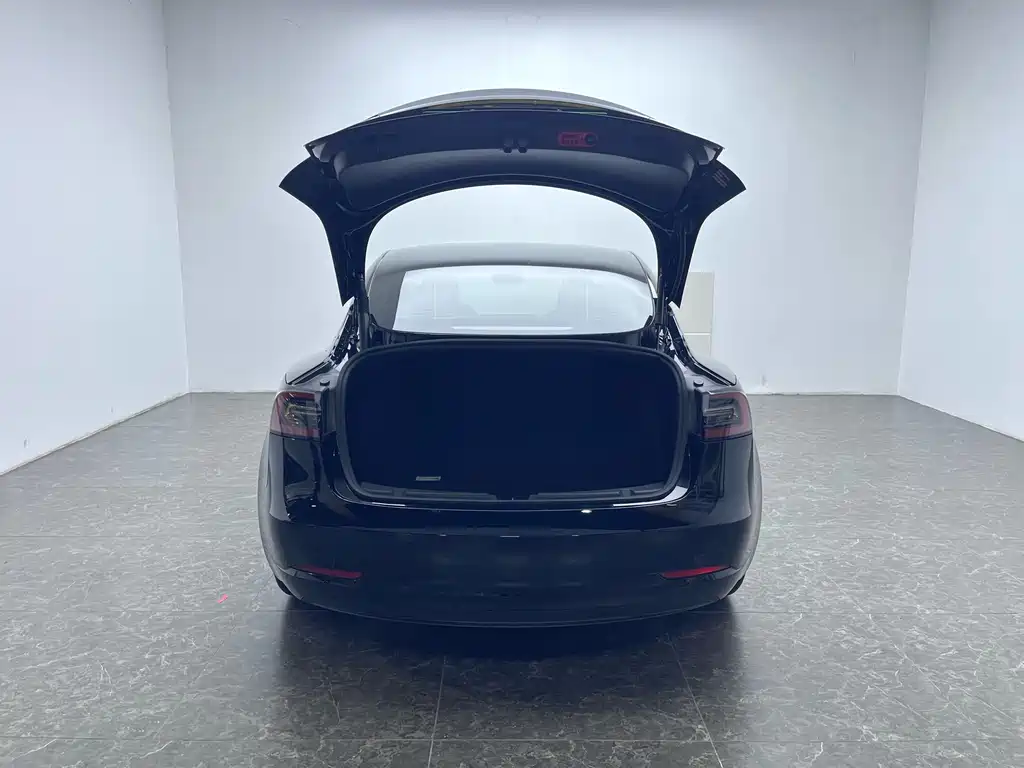 Tesla Model 3 2021 — фото 7