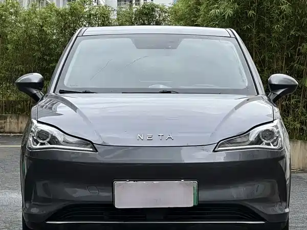 Neta V 2022