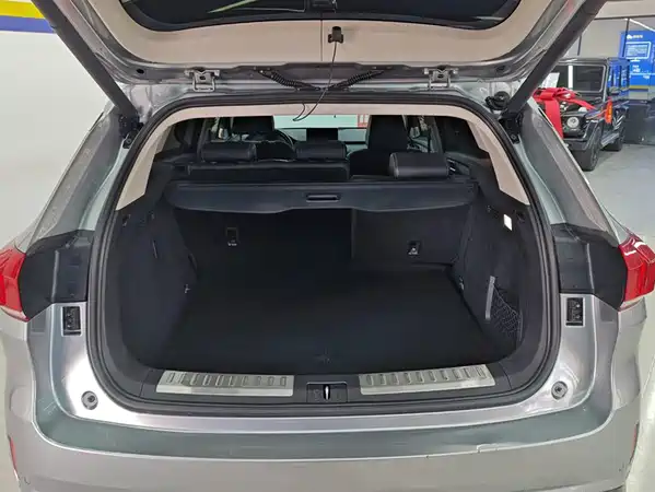 Wey VV6 2019