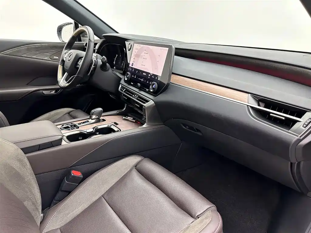 Lexus RX New Energy 2023 — фото 17