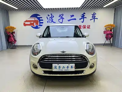 MINI MINI 2015