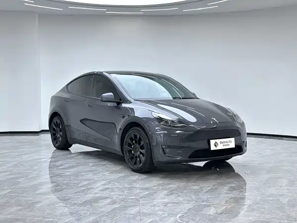Tesla Model Y 2021