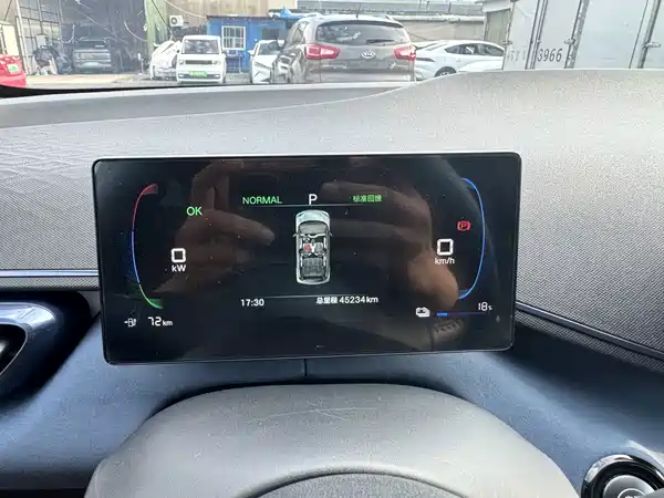 BYD Seagull 2024