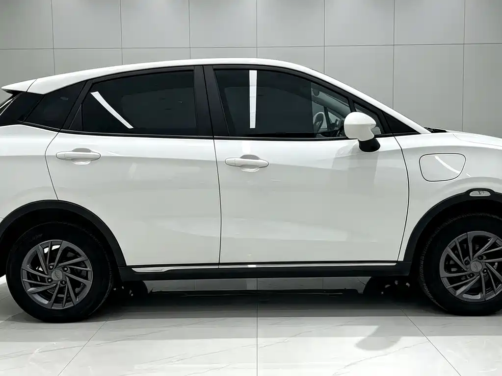 Neta V 2023