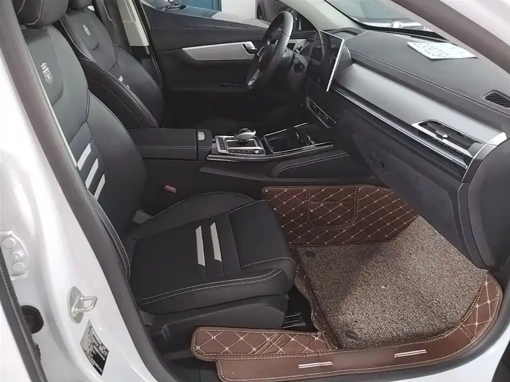 BYD Qin Pro NEV 2020 — фото 25