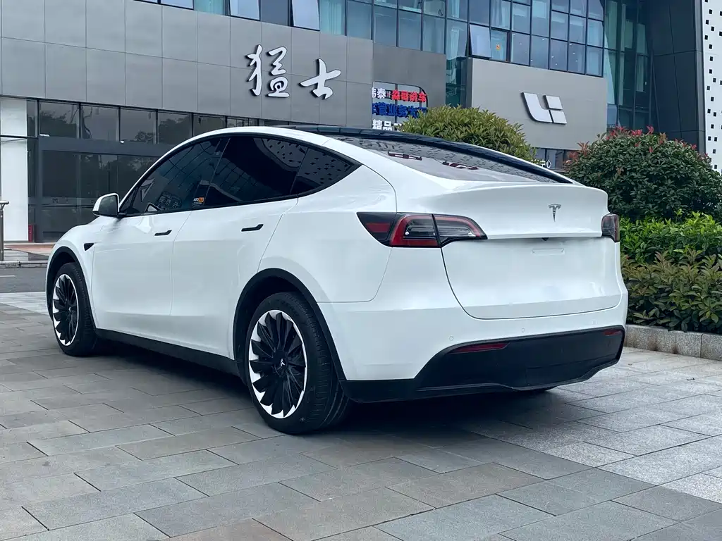Tesla Model Y 2023 — фото 4