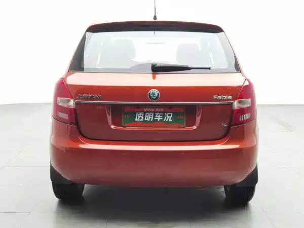 Skoda TECHART 2011