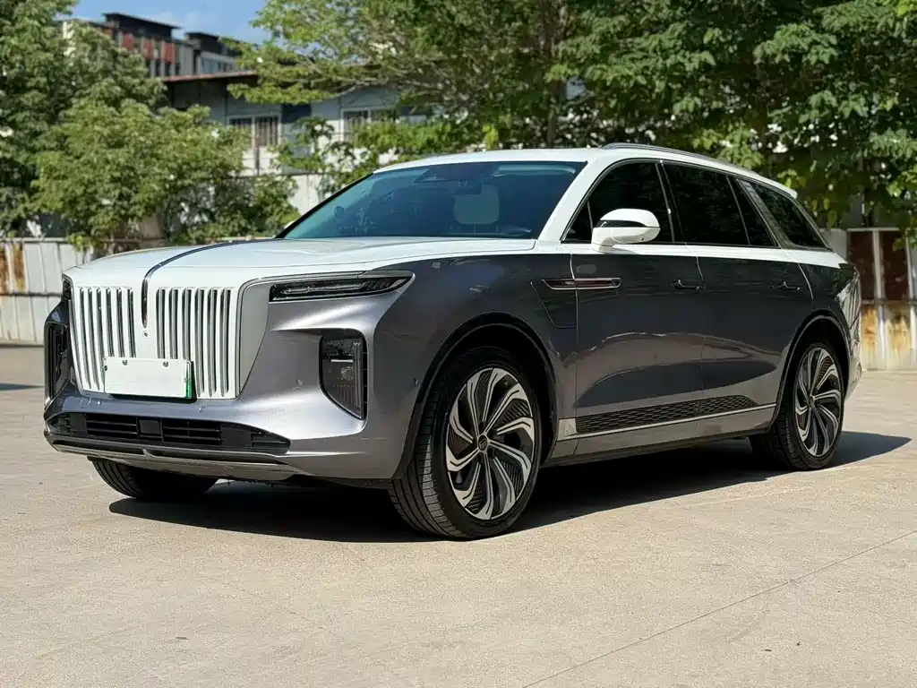 Hongqi E-HS9 2021