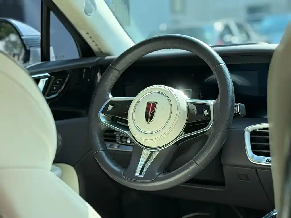 Hongqi E-HS9 2021