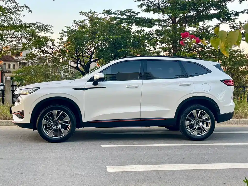 Haval H6 2022 — фото 10