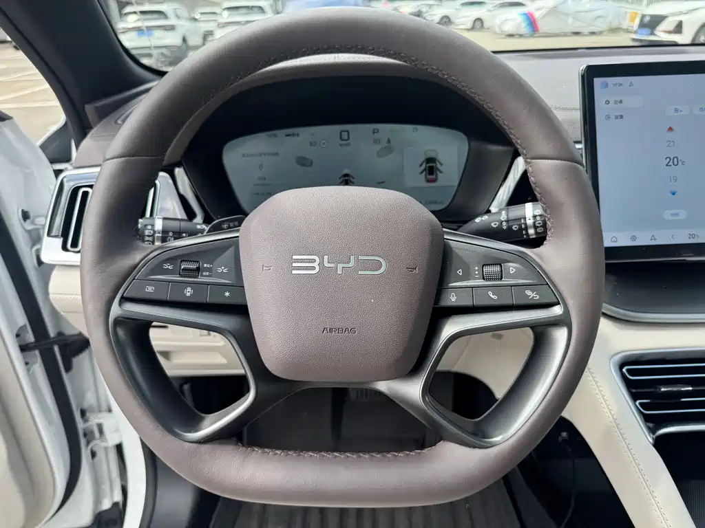 BYD PLUS New Energy 2025 — фото 12