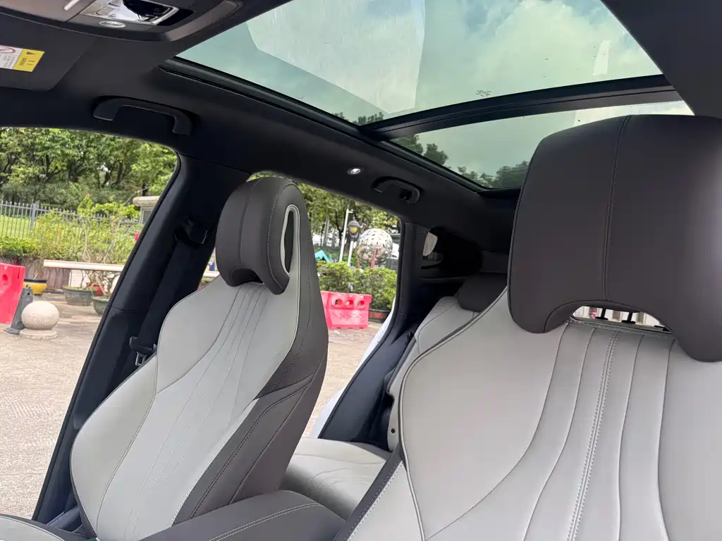 BYD PLUS New Energy 2025 — фото 18