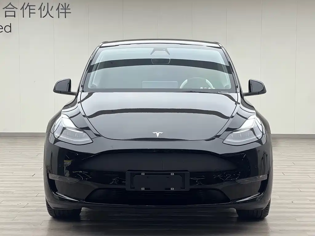 Tesla Model Y 2021 — фото 2