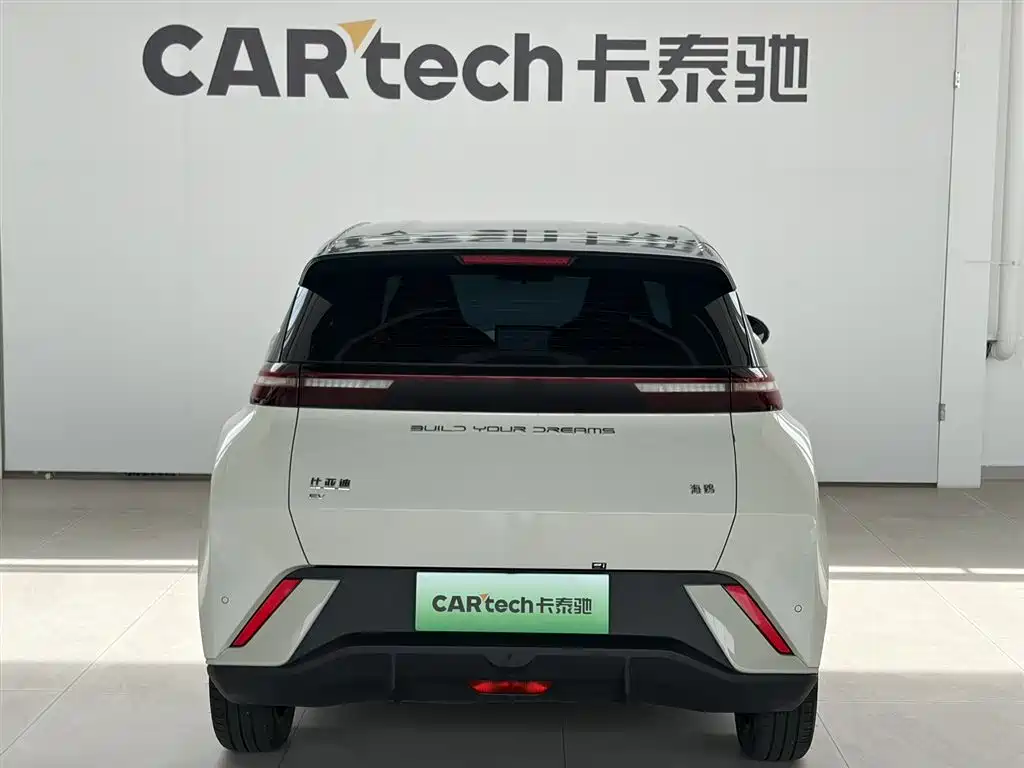 BYD Seagull 2024