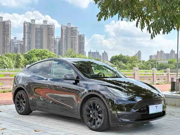 Tesla Model Y 2021