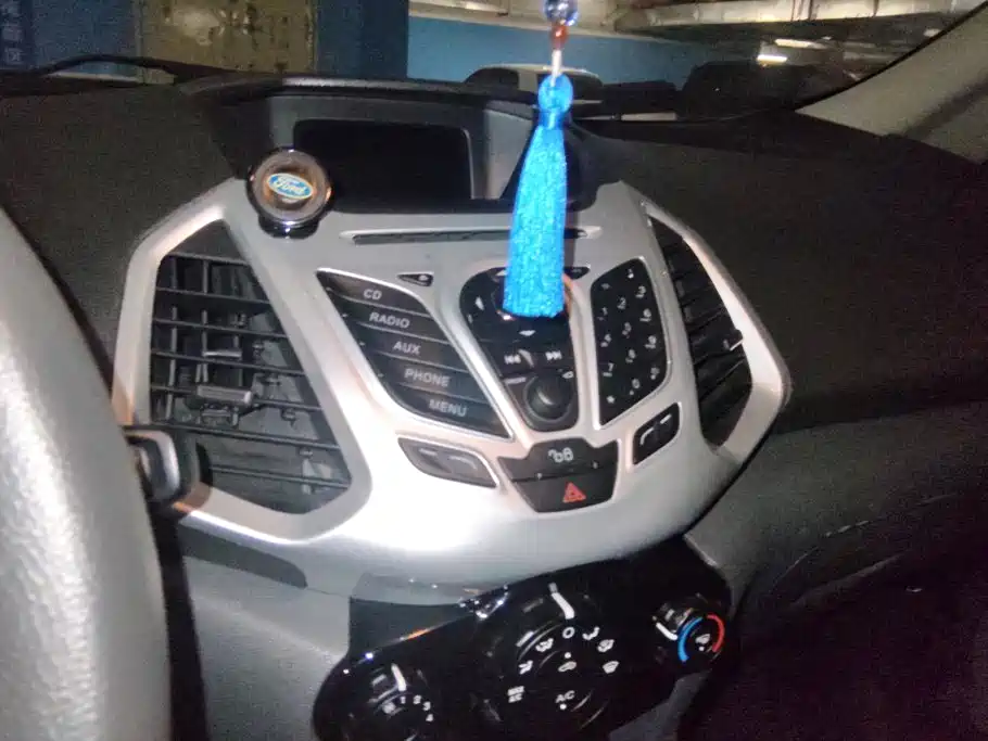 Ford Ecosport 2014 — фото 13