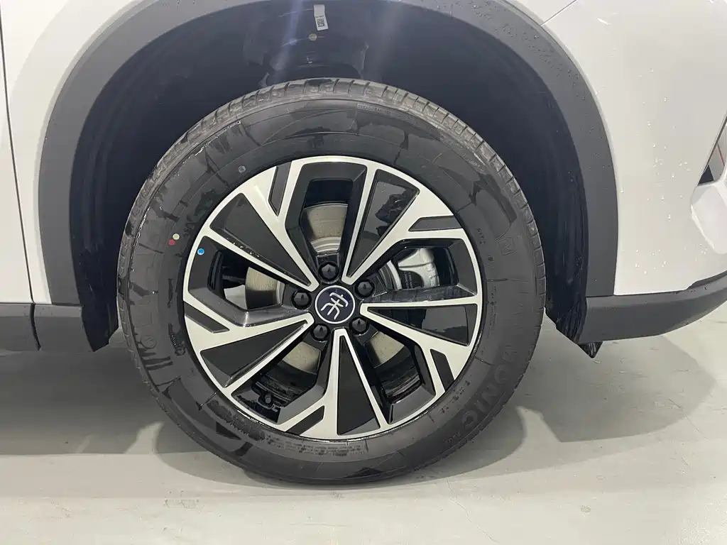 BYD Pro New Energy 2025 — фото 8