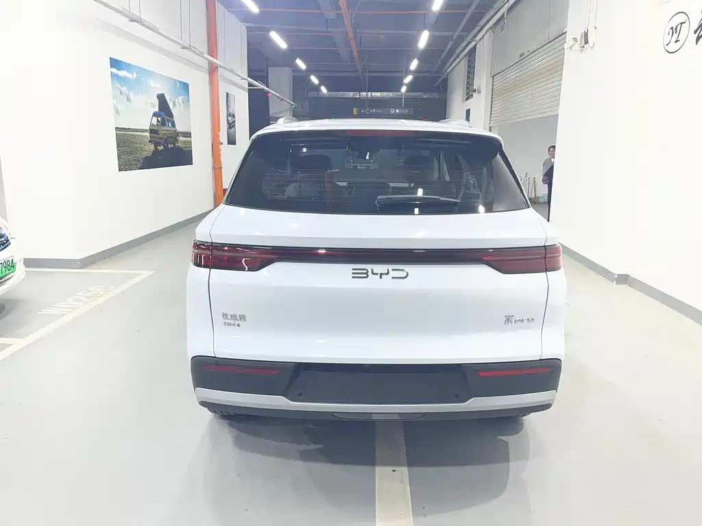 BYD Pro New Energy 2025 — фото 11