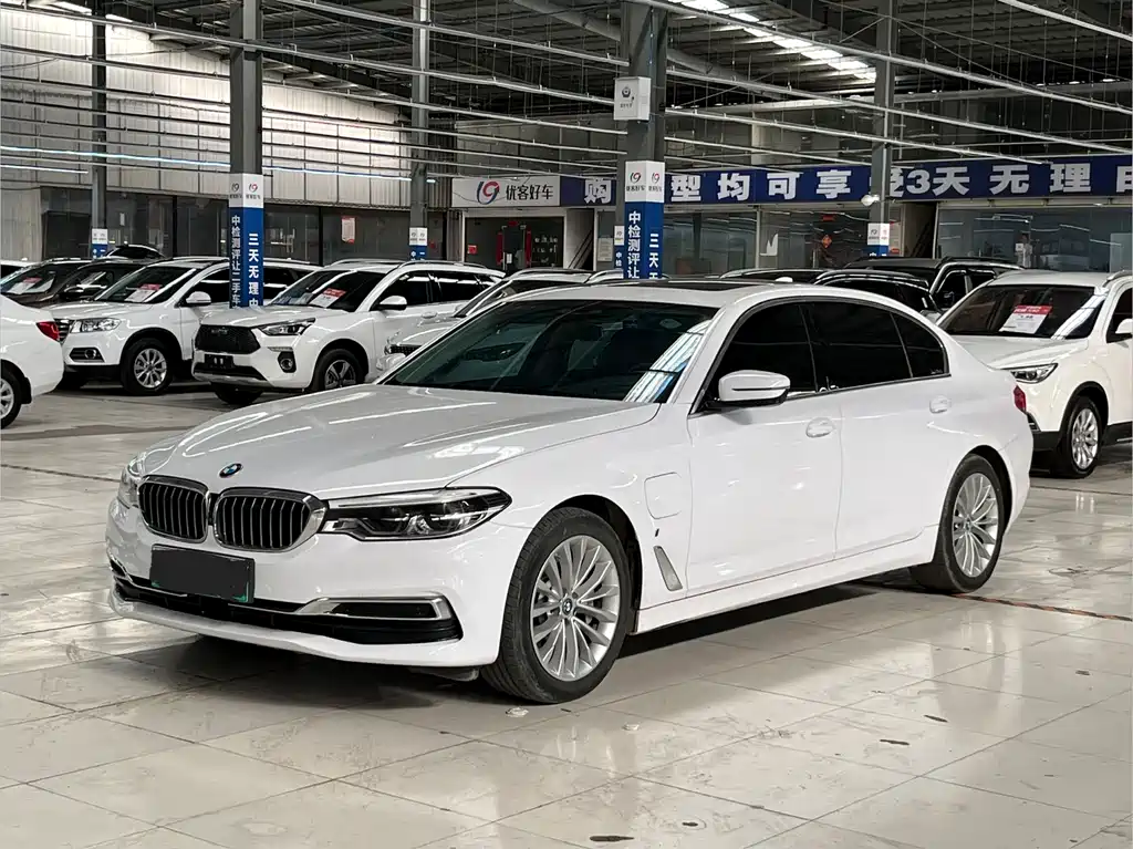 BMW 5 Series New Energy 2019
