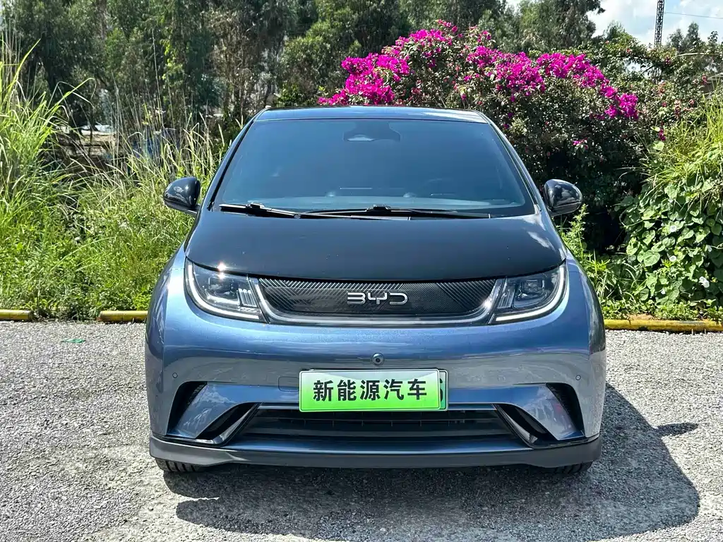 BYD Dolphin 2024