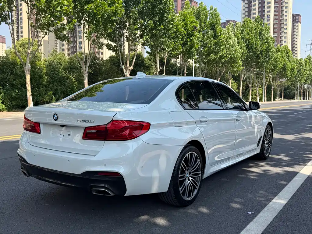 BMW 5 Series 2019 — фото 6
