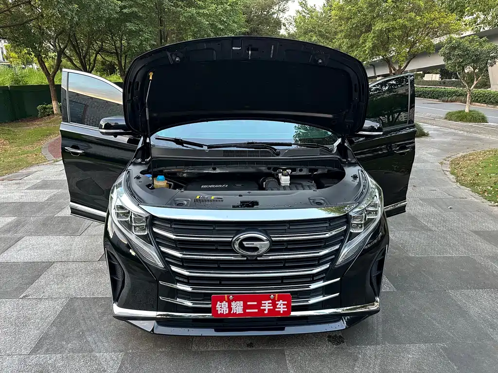 GAC Trumpchi M8 2022 — фото 28