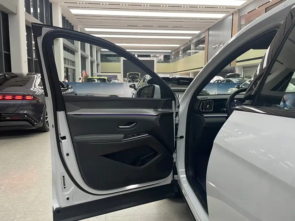 BYD Song Pro New Energy 2025 — фото 8